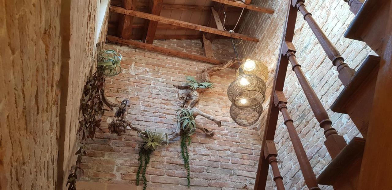 Maison Du Flaneur Chioggia Buitenkant foto